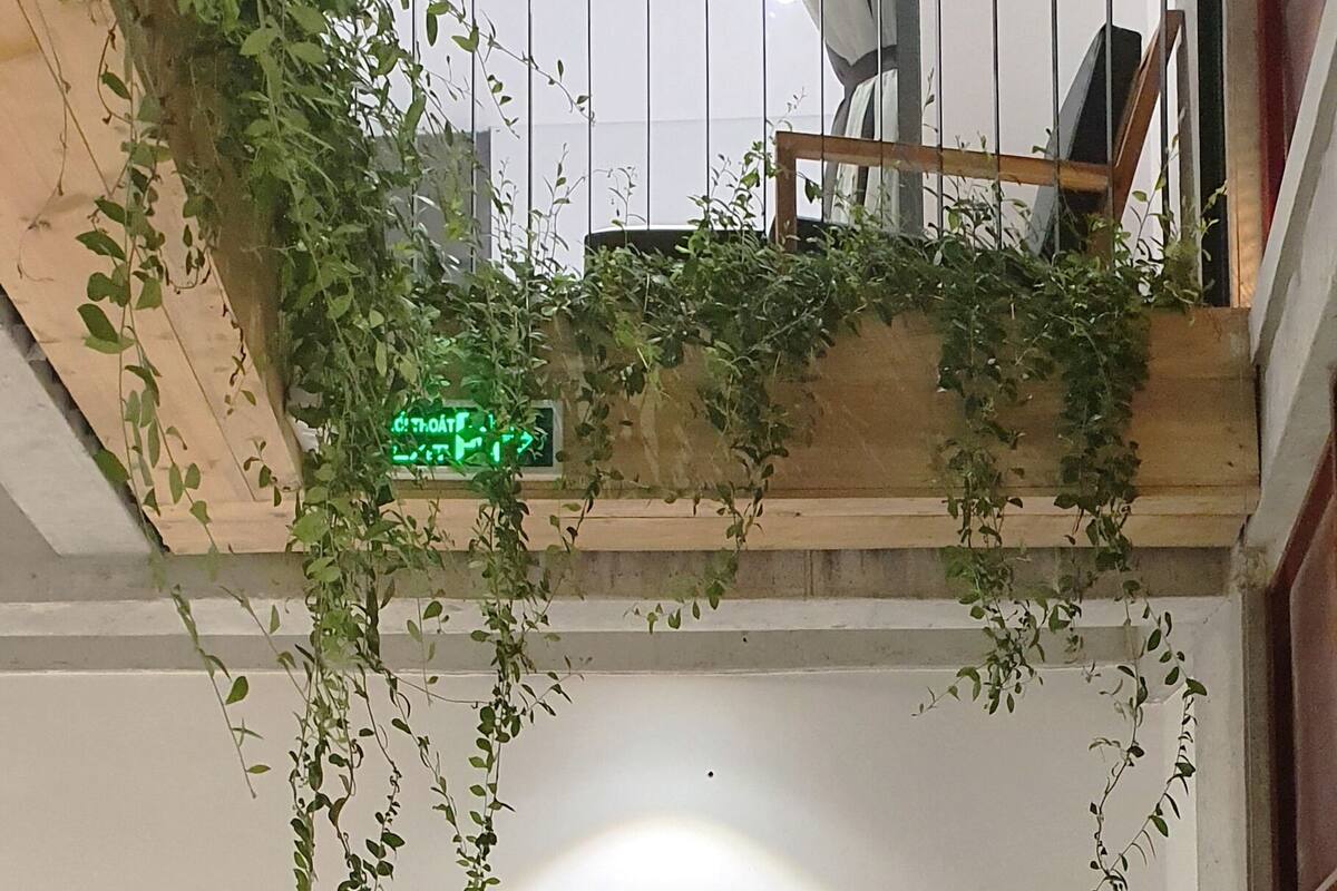 A balcony with a wooden chair, a glass door leading to a room, and hanging plants.