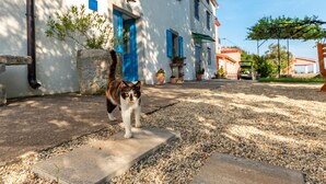 Property grounds - House Gaia – For Up to 5 Guests, Just a Few Steps from the Beach by 22Estates (Sveta Marina)