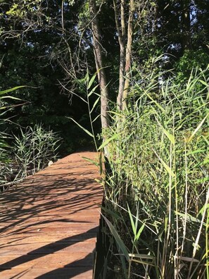 Property grounds - Holiday home "Holiday home GolczaVita" (Choszczno)