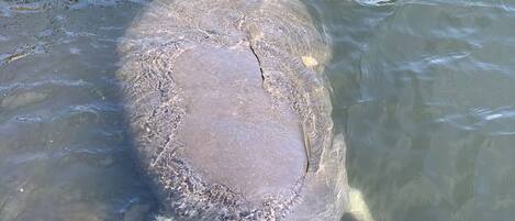 منظر من الجو على ارتفاع عالٍ