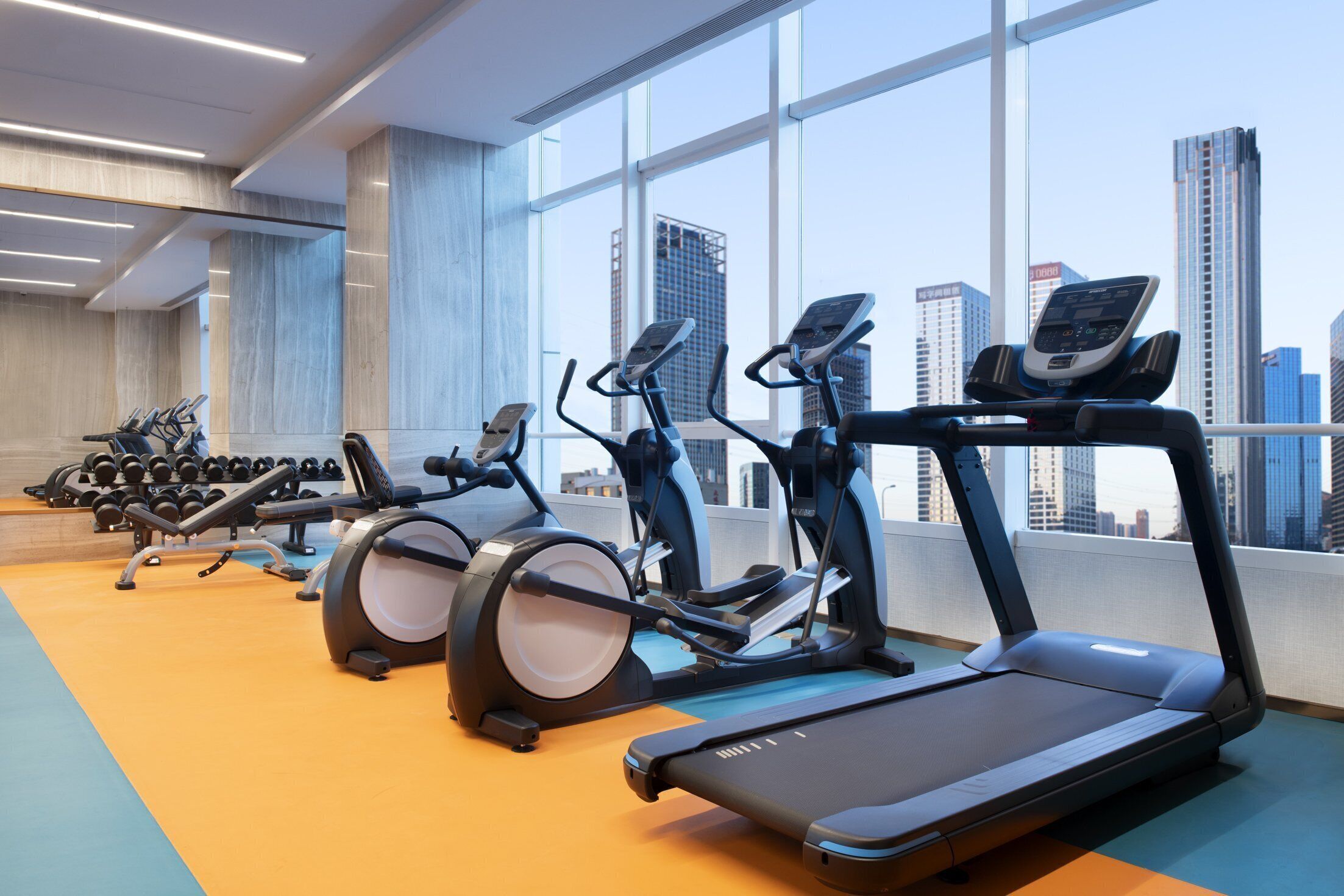 A gym with treadmills, elliptical machines, and dumbbells.