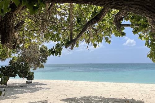 Beach nearby, white sand, free beach shuttle, beach towels