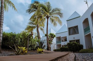 Ăreas de la propiedad