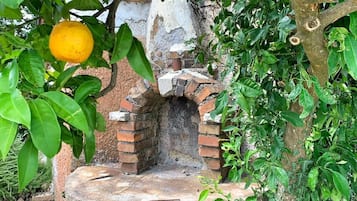 Jardin