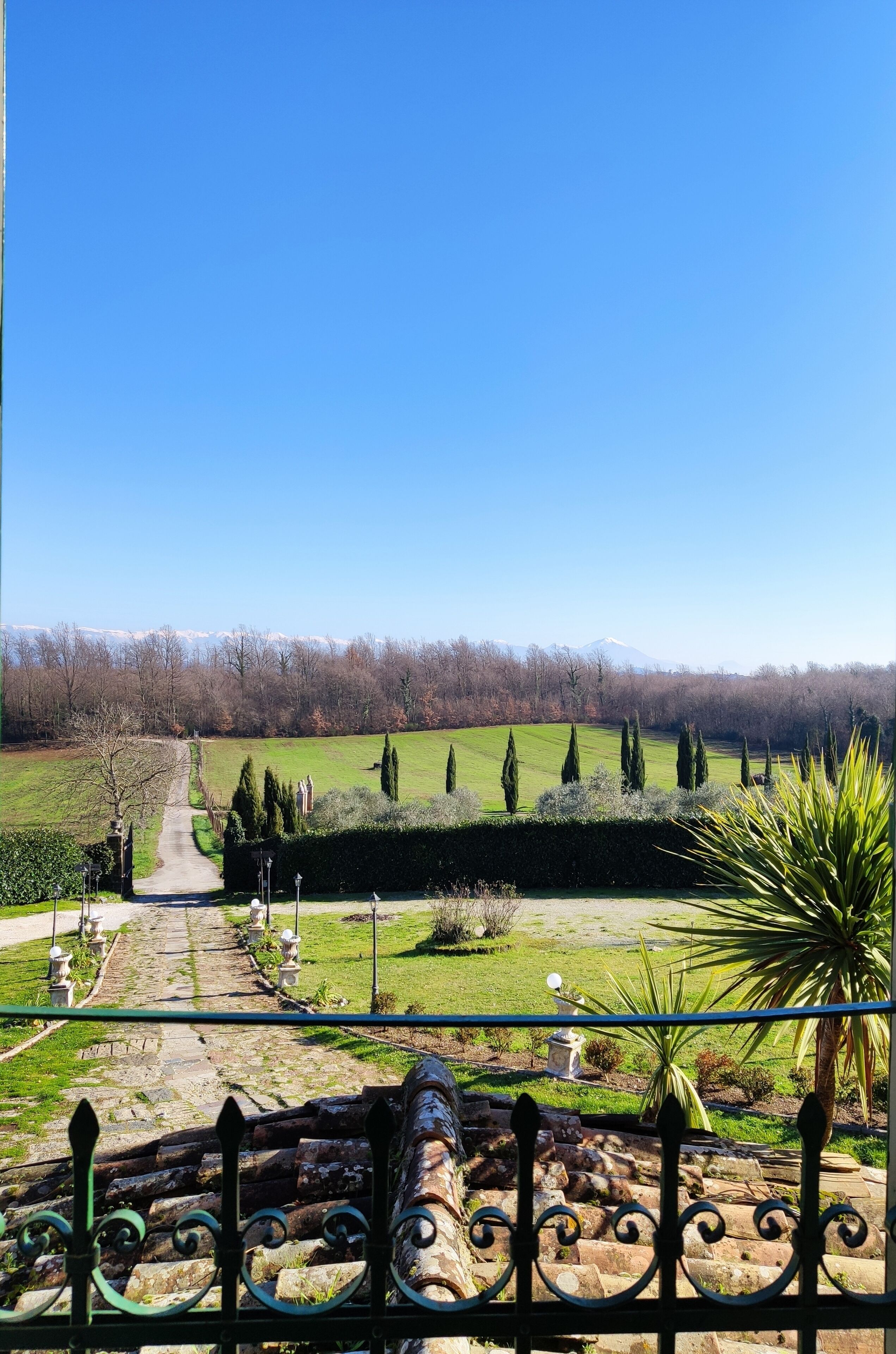 Deluxe-Doppel- oder -Zweibettzimmer | Ausblick vom Zimmer