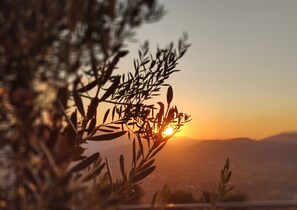 A sunset with silhouettes of olive branches and distant mountains. - Dimora Marella (Patrica)