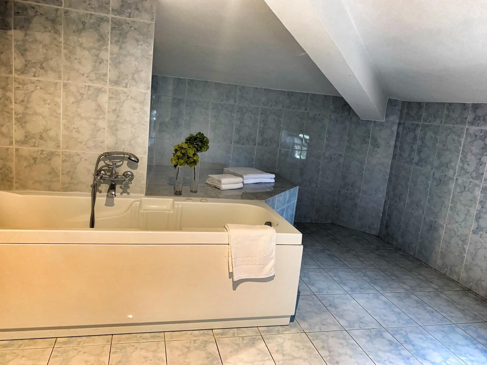 Un bany modern amb una banyera gran, rajoles de marbre i una petita planta sobre la superfície del lavabo.