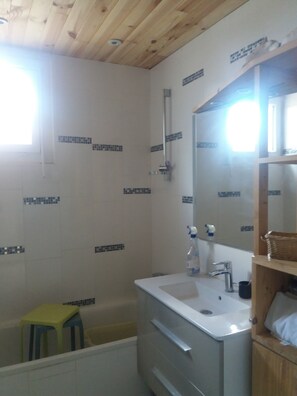 Shower, hair dryer, soap, toilet paper