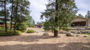 A rustic cabin with a stone foundation, surrounded by pine trees and a picnic table.