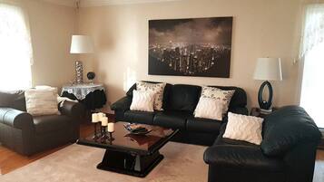 Smart TV, fireplace, DVD player, video library