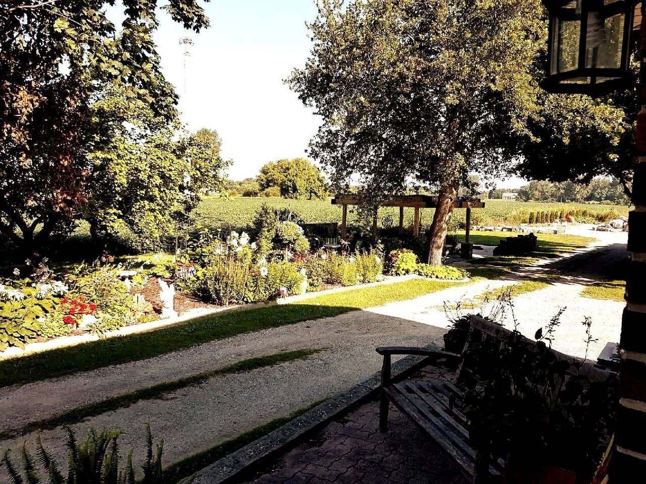 Terrain de l’hébergement 