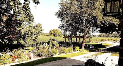 Sarnia Secret - BIG, Private 3 BR/2 BA APT by HWY