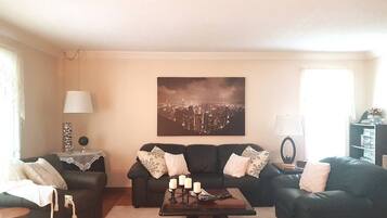 Smart TV, fireplace, DVD player, video library