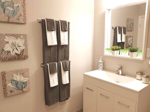 Shower, hair dryer, towels