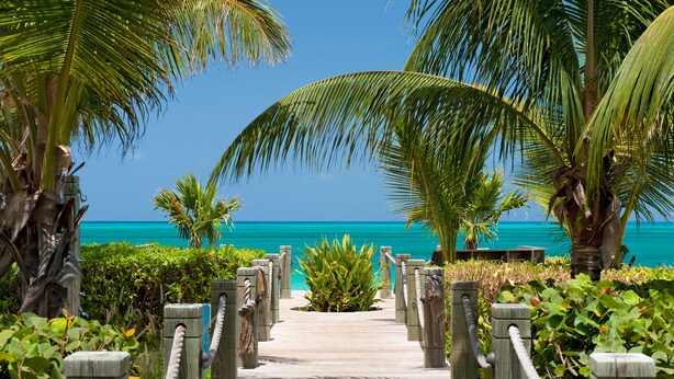 Ein hölzerner Weg führt zu einem Strand mit Palmen und blauem Himmel.