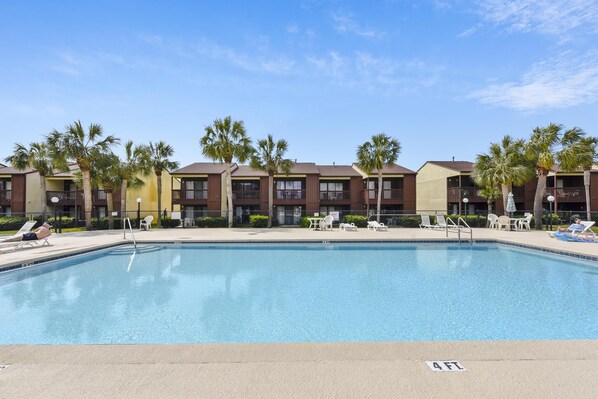 A swimming pool with lounge chairs and palm trees.