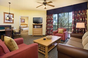 TV, DVD player, books, music library