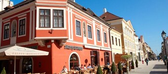 2 bed / 1 bath family home, less than 5km from downtown Tatabanya