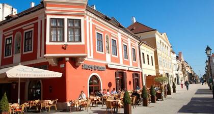 2 bed / 1 bath family home, less than 5km from downtown Tatabanya