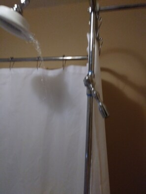 Bathroom shower - 1930s Rear Unit, 3 miles to DT, Walk 2 Trinity U, Private Entrance (San Antonio)