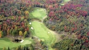 Vista aérea de un campo de golf rodeado de bosque denso.