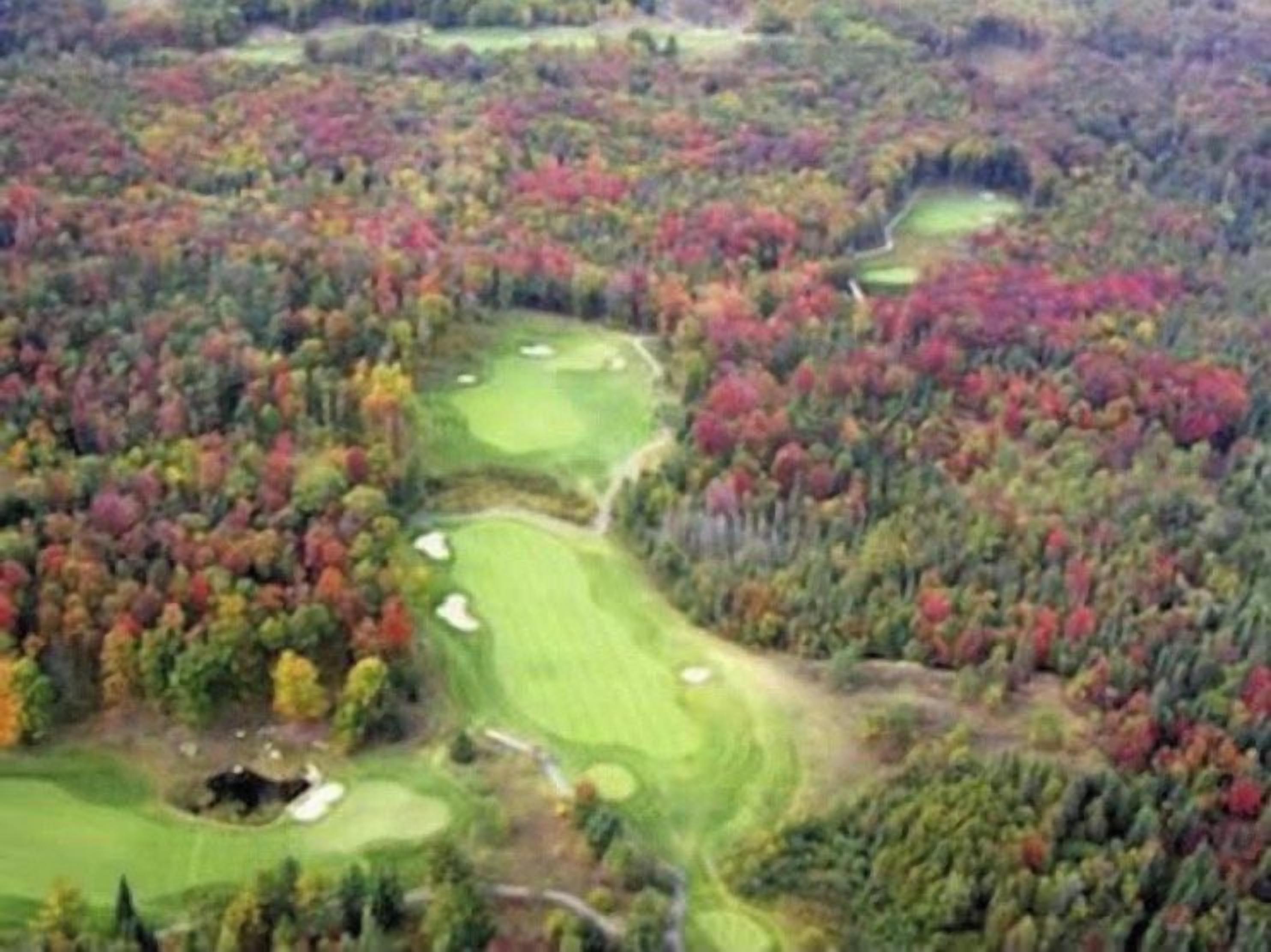 An aerial view of a golf course surrounded by dense forest.