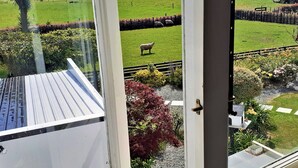 Blick aus einem Fenster auf ein grünes Feld mit einem Schaf, eine Holzterrasse und ein Garten mit verschiedenen Pflanzen.