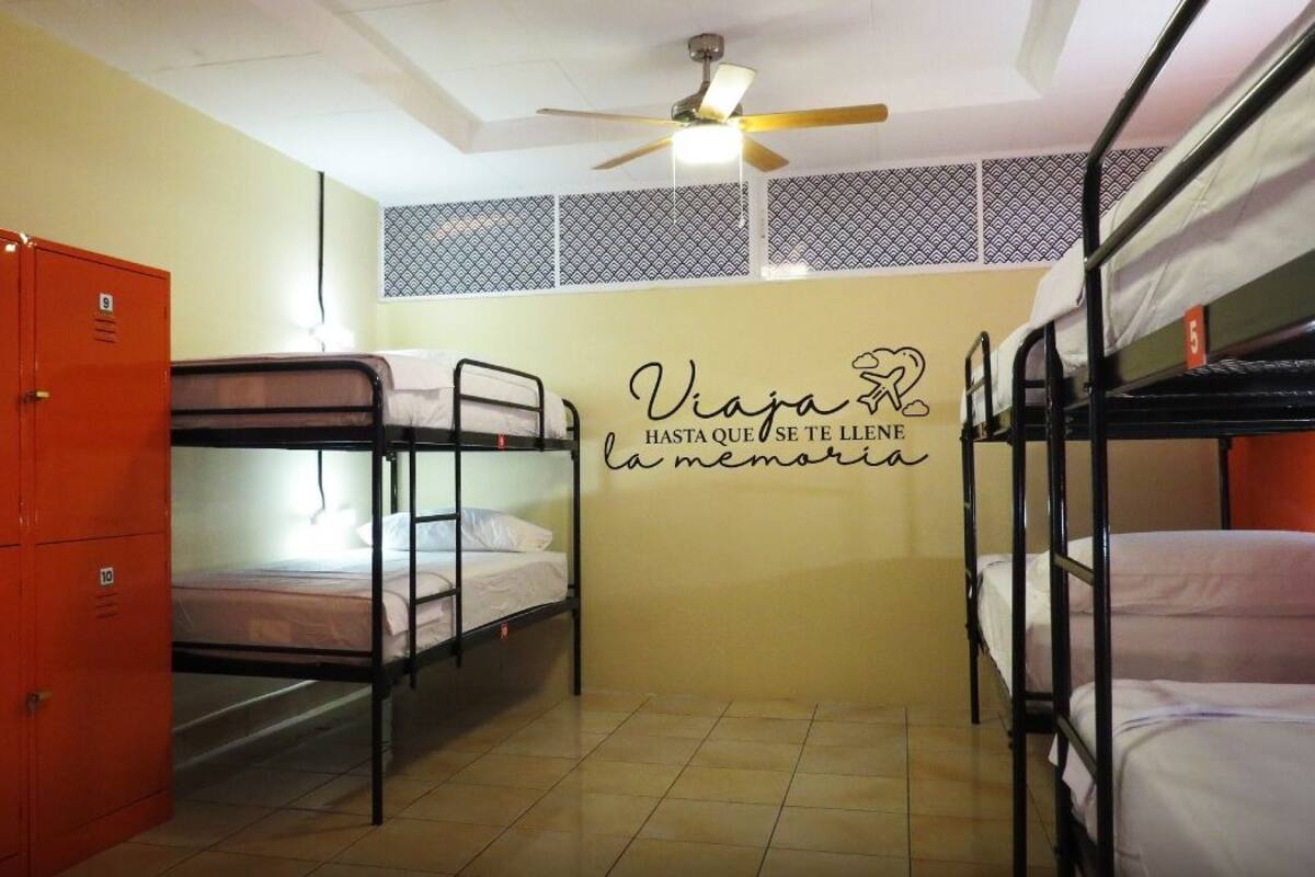 Asrama Umum Basic, Beberapa Tempat Tidur | Seprai antialergi, tempat tidur Select Comfort, dan Wi-Fi gratis