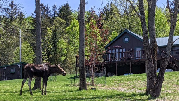Een rustiek gebouw met een groen dak en een bord waarop staat: ‘Welkom bij het Park’.