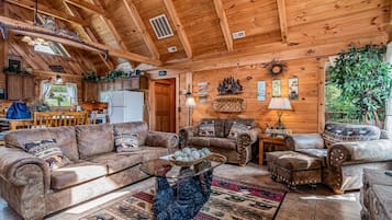 TV, fireplace, DVD player