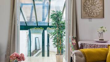 47-inch flat-screen TV with satellite channels, TV