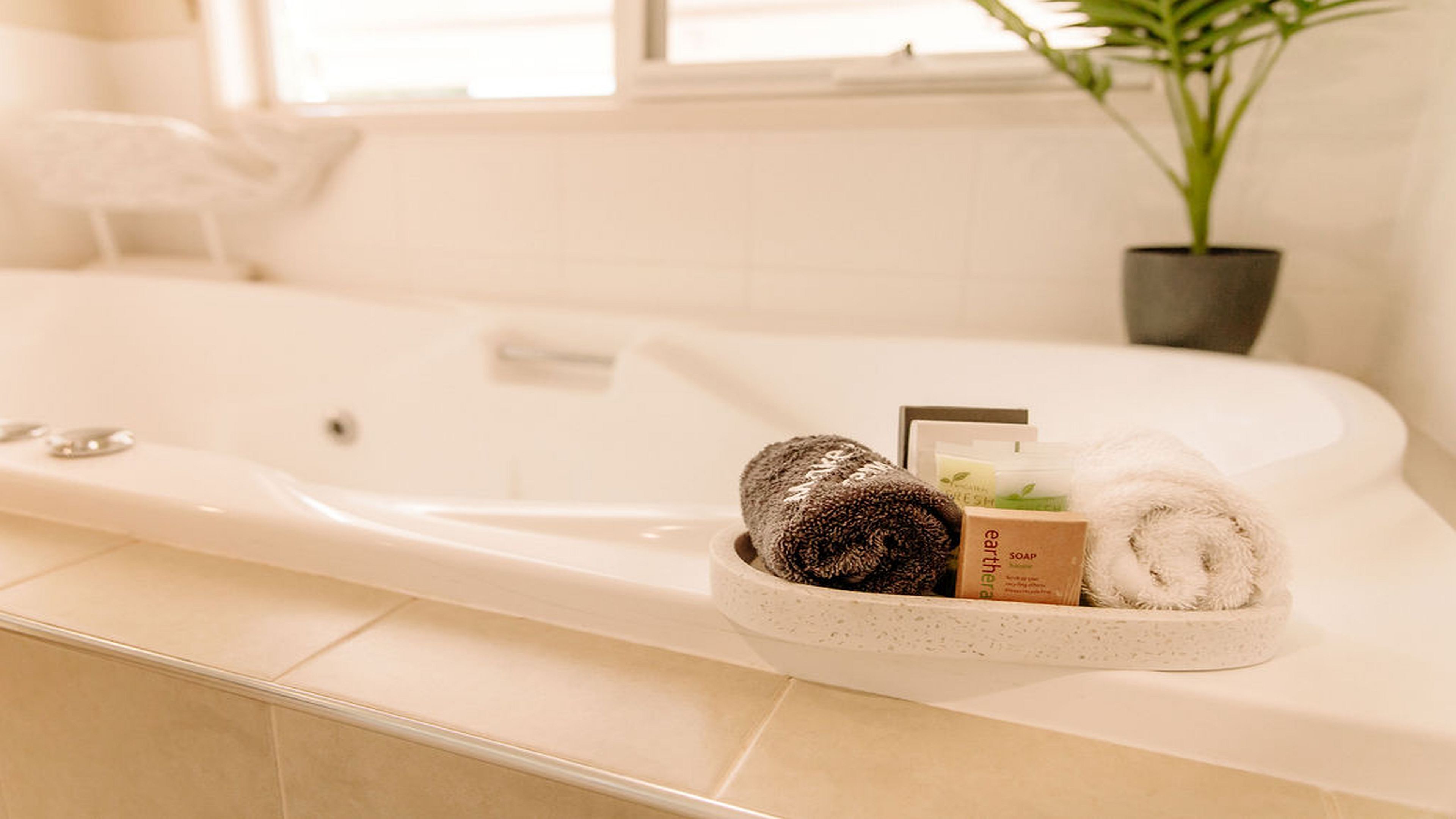 A bathroom with a bathtub, a towel, a soap bar, and a potted plant.