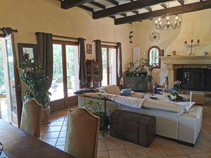 TV, fireplace, DVD player, ping pong