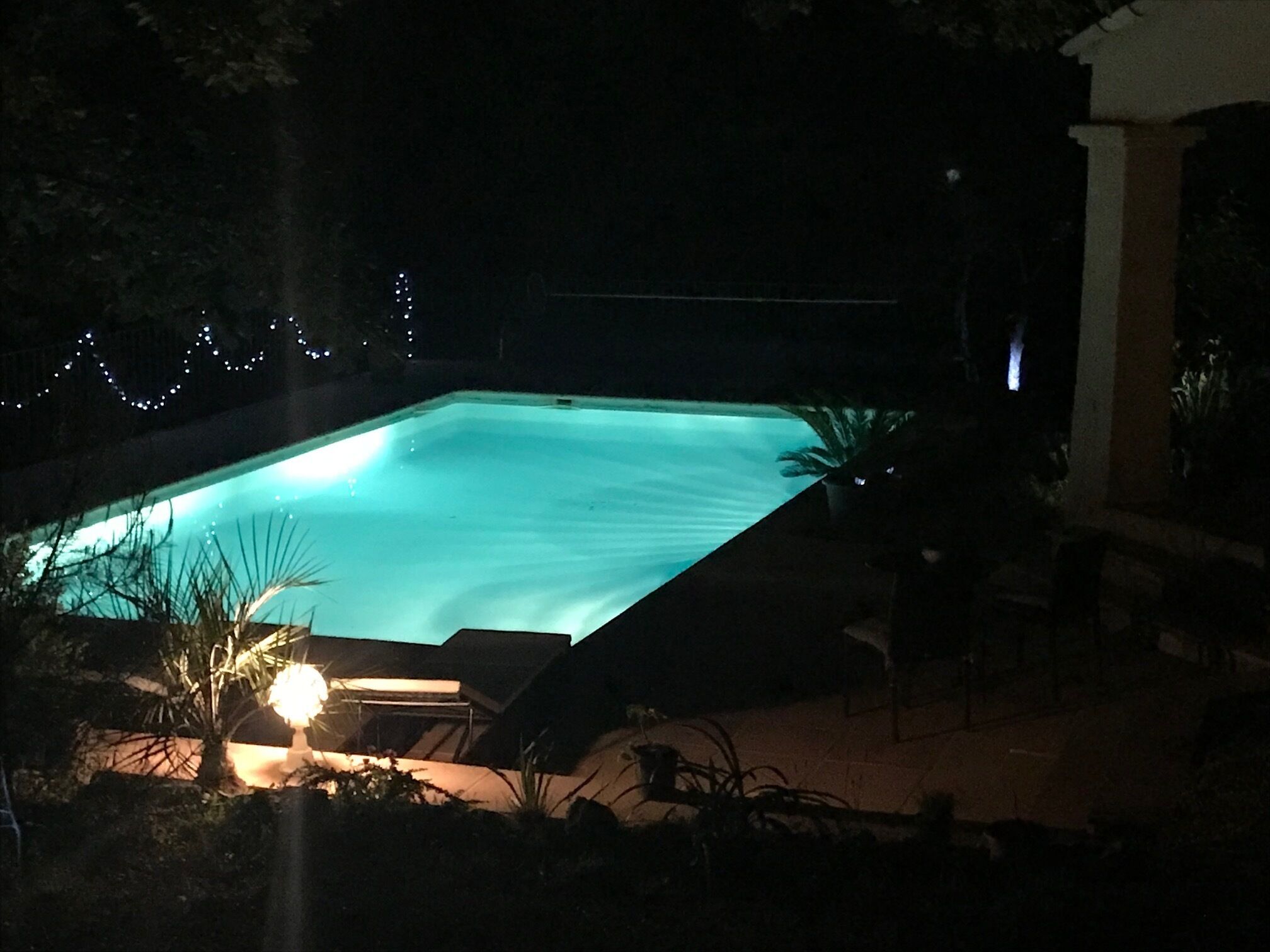 Une piscine rectangulaire à l’eau d’un bleu clair, entourée d’un petit muret et agrémentée de quelques plantes en pot.