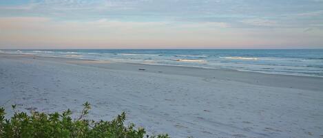 Ein Strand mit blauem Himmel und ruhiger See.