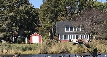 WATERFRONT GETAWAY- Charming Waterfront Cottage on St Clements Bay