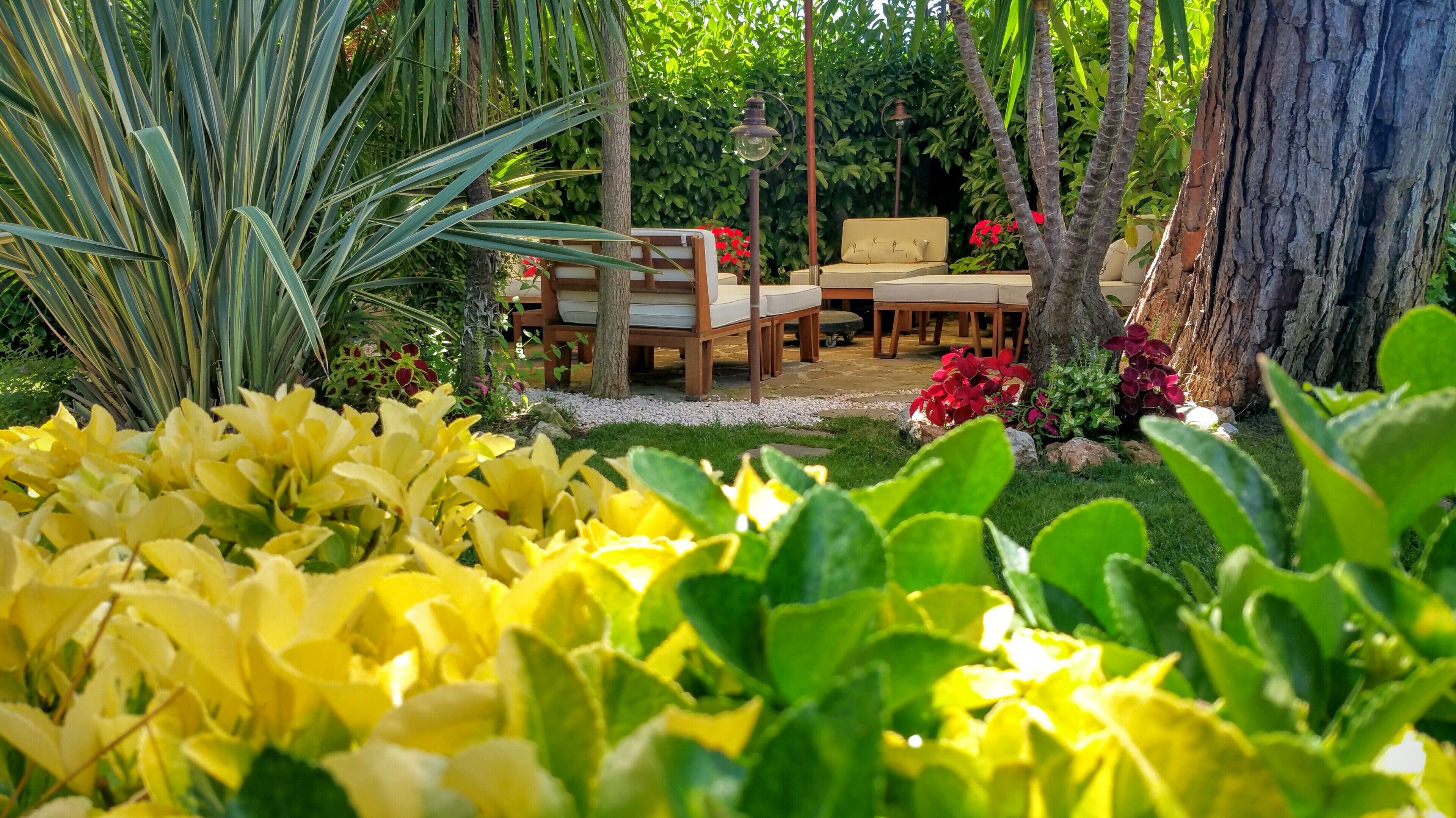 A garden with a wooden table and chairs, surrounded by various plants and flowers.