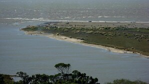 A coastal landscape with a beach, vegetation, and a view of the ocean.