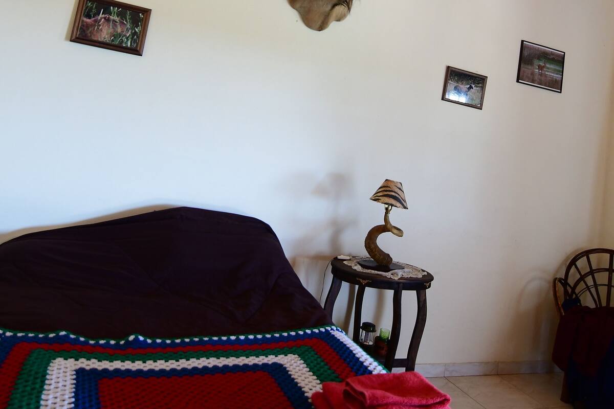 A room with a high wooden ceiling, a mounted deer head on the wall, a bed with a colorful blanket, a lamp on a small table, and framed pictures on the wall.