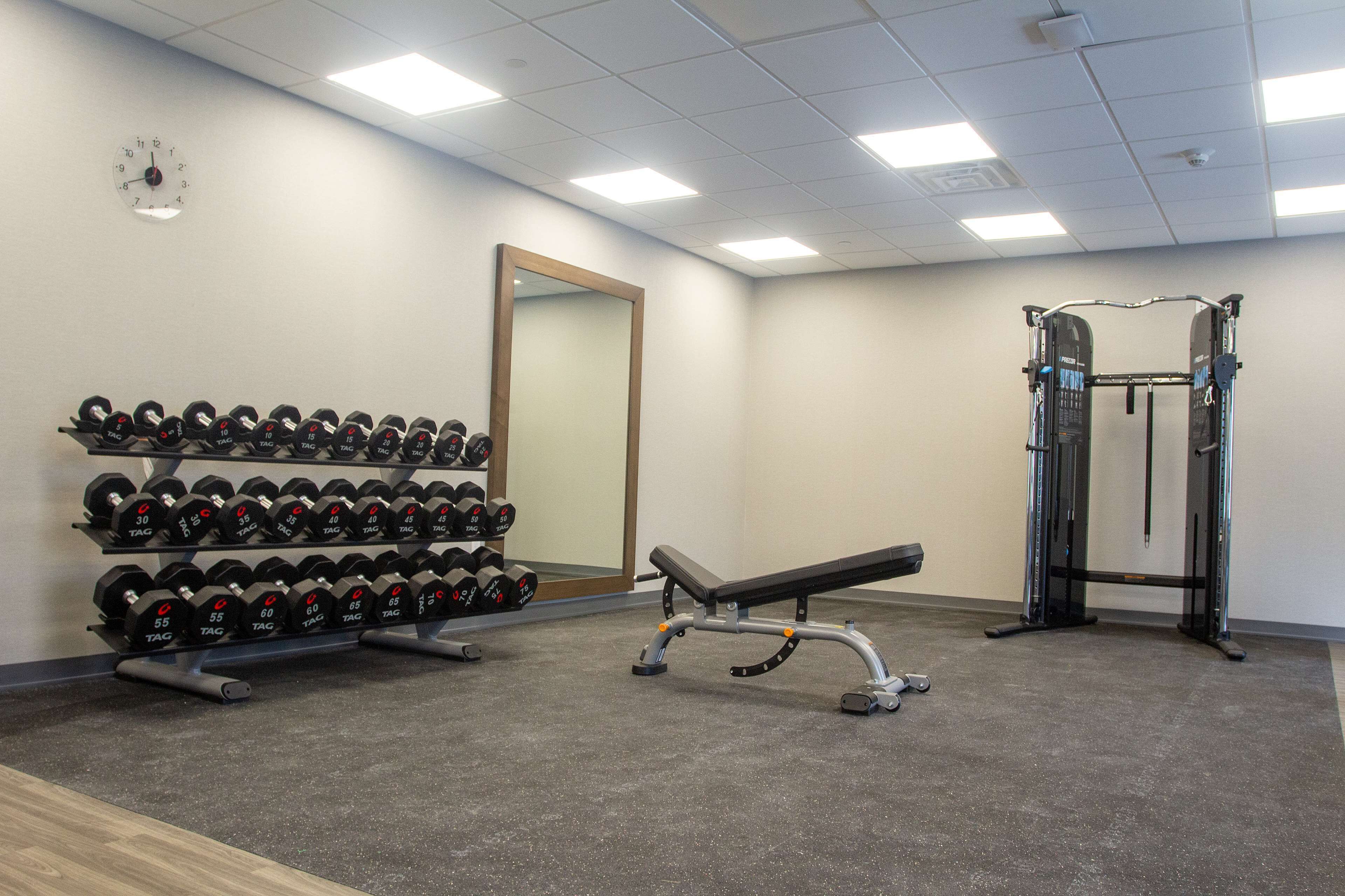 A gym with a bench, dumbbells, and a squat rack.
