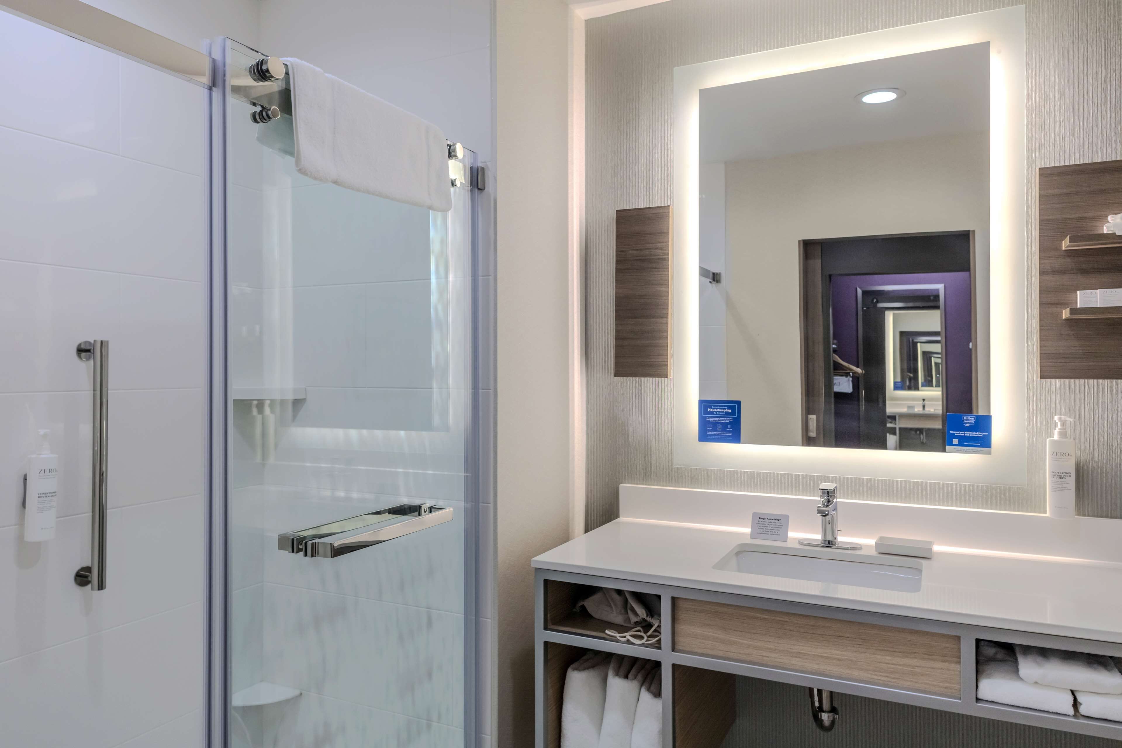 room, 1 king bed | bathroom shower