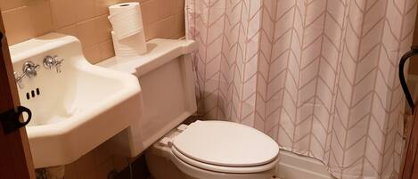 A bathroom with a toilet, sink, and shower curtain.