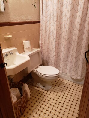 A bathroom with a toilet, sink, and shower curtain. - High Heaven 4 bed 3ba (Hendersonville)