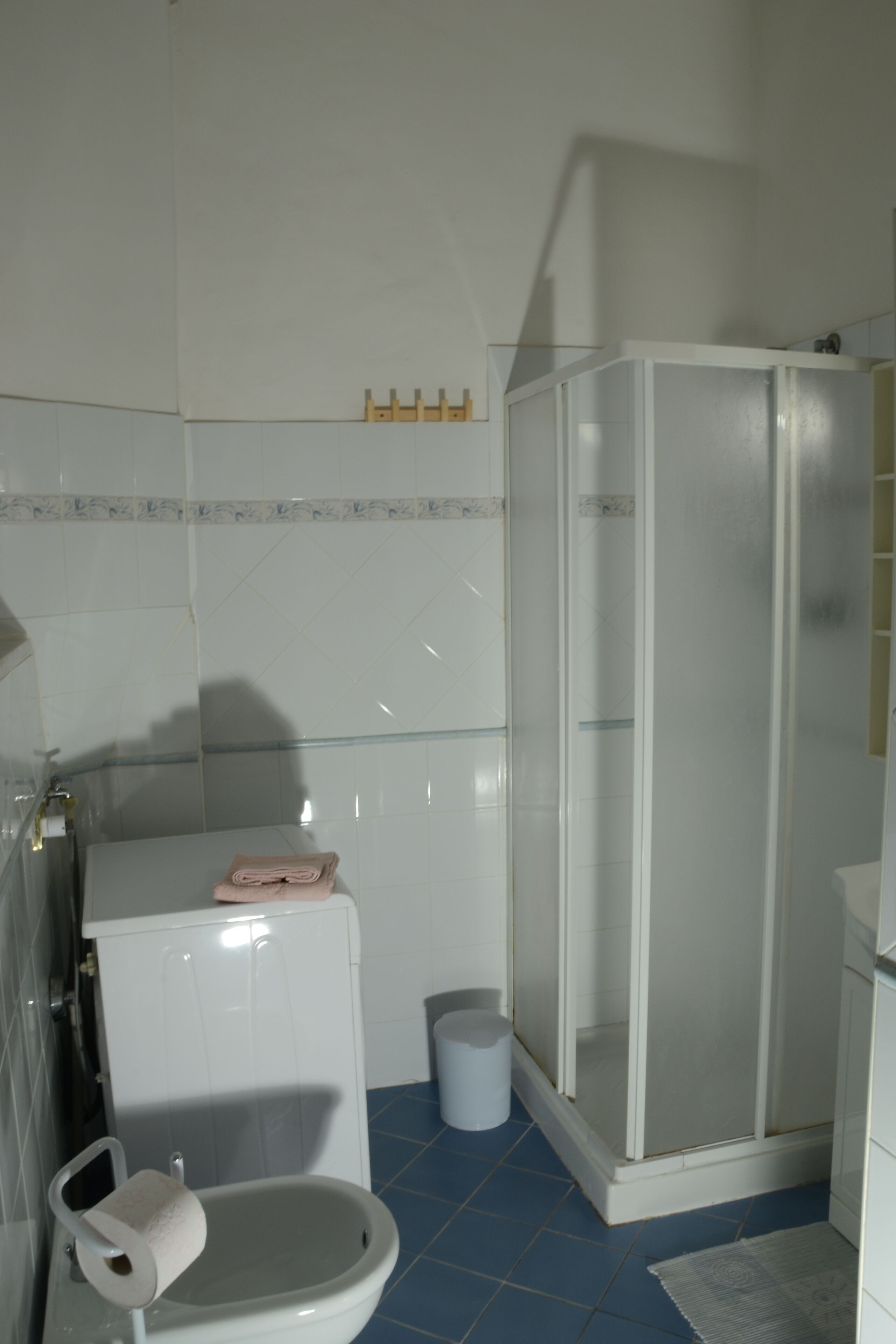 Ein Badezimmer mit Toilette, Duschkabine und Mülleimer.