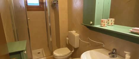 Shower, bidet, soap, toilet paper