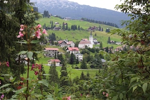 Vista desde la habitación