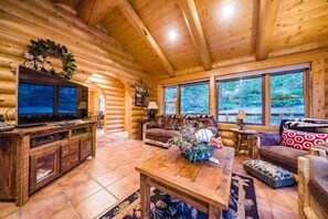 TV connectée, cheminée, livres