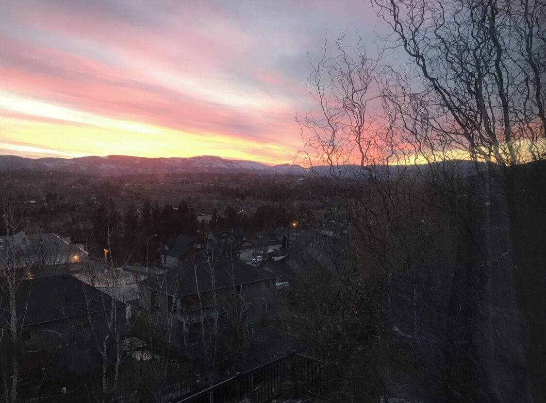 A sunset view over a residential area with houses and bare trees.