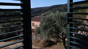 A view through open shutters to a rural landscape with a building, olive tree, and hilly terrain. - Total tranquility in the hills of Budoni (San Lorenzo)