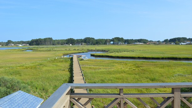 A wooden boardwalk leading to a small dock over a calm water body, surrounded by green fields and trees under a clear sky.